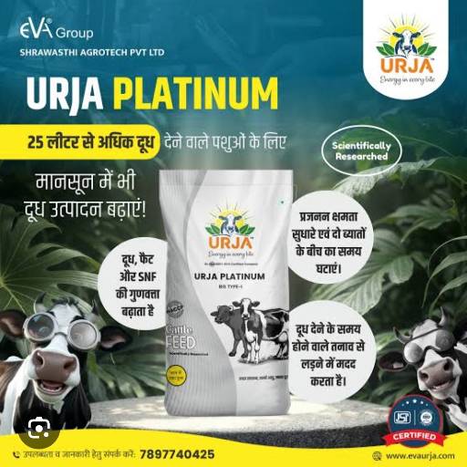 SHREE KRISHNA GROUP - Premium Animals Feed in Lakhimpur Kheri | Healthier in Lakhimpur Kheri
